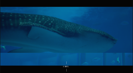 沖縄美ら海水族館　ウェディング　多言語（5ヶ国語）サイト